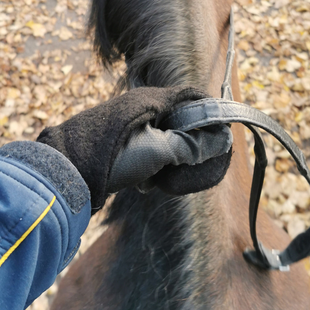 Winterling Handschuh